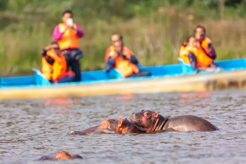 Boat Riding in Naivasha – A Tranquil Adventure on the Waters